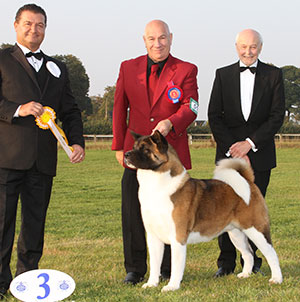 Mrs J Killilea & Mrs A Clure Ch Redwitch Will I Am with group judge Mr P Harding & Mr K Pursglove (Chairman)