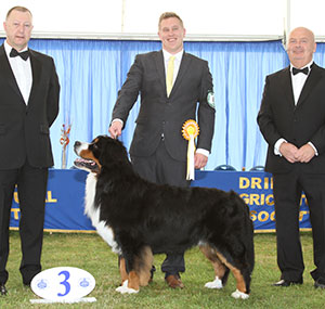 Mrs B Mair, Mrs C Hartley-Mair & Mr G Dybdall Ch Meadowpark Vertigo JW with group judge Mr K Young & Mr E Lockett (Treasurer)