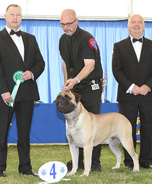 Ms R Oma & Mr W Warren Ch & Aust Ch Costag Mompessons Home Bru with group judge Mr K Young & Mr E Lockett (Treasurer)
