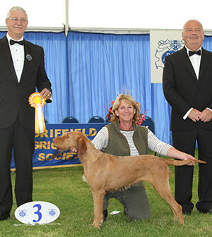 Mrs R J Newman Sh Ch Morganna Star Anise JW Sh.CM with group judge Mr T Graham & Mr E Lockett (Treasurer)