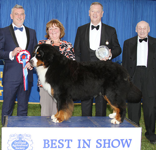 Mrs C Hartley-Mair & Mr G Dybdall Ch Meadowpark High Class with BIS judge Mr L A S Cox, Mr M Freeman (Secretary) & Lord Kirkham C.V.O. (President) 