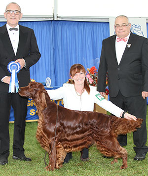 Mr A Stewart & Miss D Ritchie-Smith Sh Ch & Ir Sh Ch Gwendariff Whippersnapper JW CW15 with group judge Mr J Daltrey & Mr C Woodward (Asst Show Manager)