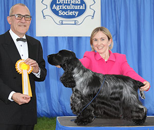 Miss S Amos-Jones Sh Ch Veratey Vincenzo At Cassom JW with group judge Mr J Daltrey