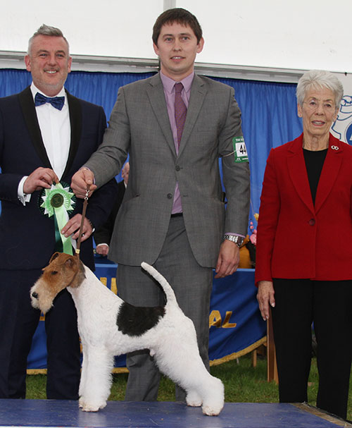 Mr V Malzoni Am Ch Hampton Courts Monte Cristo with BIS judge Mr L A S Cox 