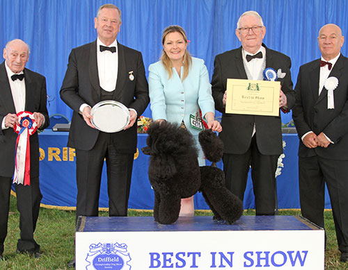 Miss M Harwood Ch Minarets Best Kept Secret with BIS judge Mr D Smith, Mr M C Freeman (Secretary) & Mr D Killilea (Utility group judge) 