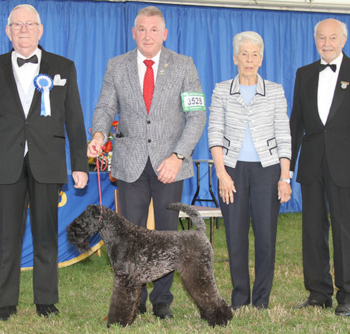 Mr R Tasselli Balboa Nembo Kid with BIS judge Mr D Smith & Mr K Pursglove (Chairman)