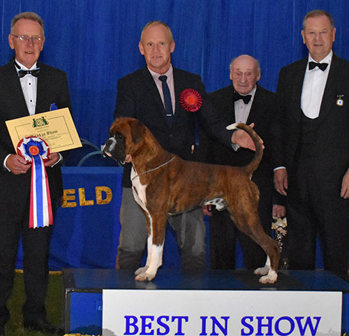 Mr M Griffiths Ch Lanfrese Argento with BIS judge Mr R Oldham, Mr M Freeman (Secretary) & The Lord Kirkham C.V.O (President)