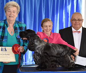 Miss S Amos-Jones Sh Ch Veratey Vincenzo At Cassom JW with group judge Mrs C E Cartledge & Mr C Woodward (Committee) 