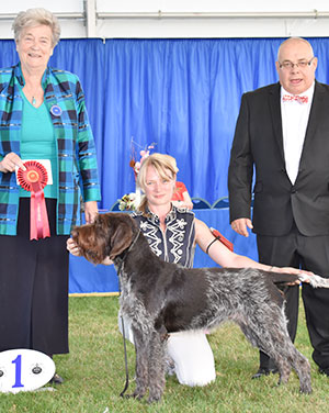 Mr & Mrs P & L & Miss N Johnston Glenquin Athena with puppy group judge Mrs C E Cartledge & Mr C Woodward (Committee)