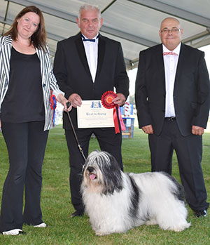Miss L Mottram Ch Mybeards Hero with group judge Mr R Kinsey & Mr C Woodward (Comittee)
