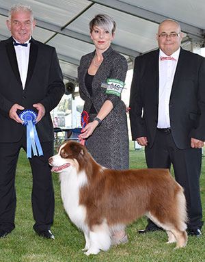 Mrs K Kirtley & Mrs D Erdesz AKC ASCA Ch Wyndstar Magic Marker with group judge Mr R Kinsey & Mr C Woodward (Committee)