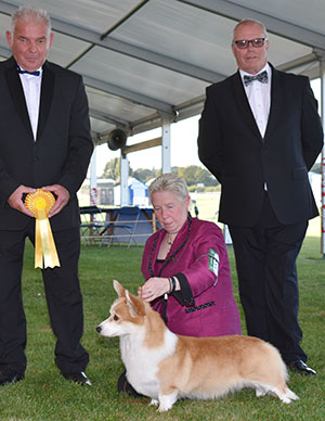 Mrs K M Irving & Miss T J Irving Ch Born To Be Your Salt Dog At Twinan (Imp) Sh.CM with group judge Mr R Kinsey & Mr M Bradish (Committee)