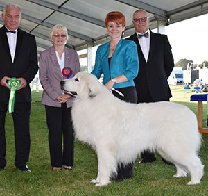 Mrs C Kenyon & Mr A J Ward Ch Charibere Simply Special At Chezanna JW Sh.CM with group judge Mr R Kinsey & Mr M Bradish (Committee) 