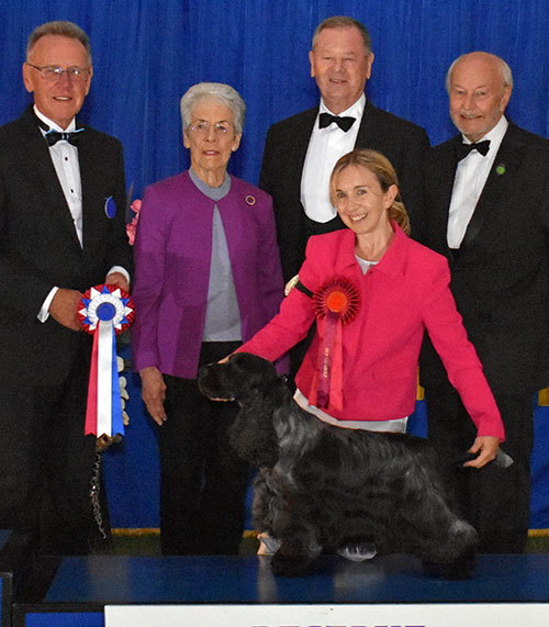 Miss S Amos-Jones Sh Ch Veratey Vincenzo At Cassom JW with BIS judge Mr R Oldham, Mr K Pursglove (Chairman) & The Lord Kirkham C.V.O. (President) 