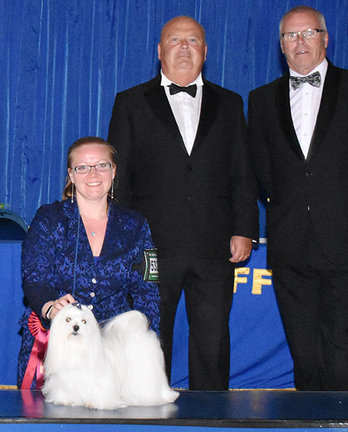 Welbourn, Dowsett & Tyler Ir Ch Zumarnik Hot Pursuit CW12 Sh CM with Mr E Lockett (Treasurer) & Mr M Bradish (Committee) 