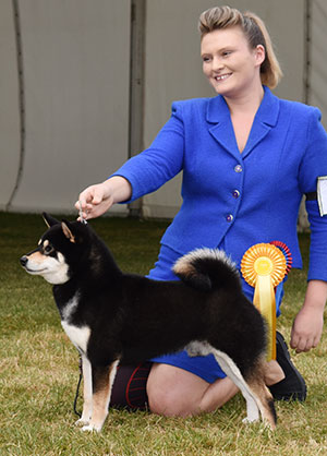 Miss M S Dunhill Hall Ch Vormund Sinister