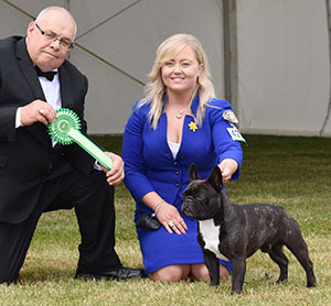 Mr & Miss D & A Cund & Mrs A Harrop Ch Chelmbull The Aviator with Mr C Woodward (Committee)