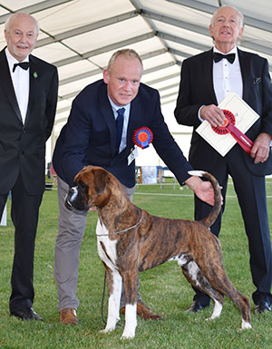 Mr M Griffiths Ch Lanfrese Argento with group judge Mr R Newhouse & Mr K Pursglove (Chairman)