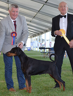 Mr W Henderson Ir Ch Irresistible Tuwos Dobgrace (Imp) Rom with group judge Mr R Newhouse 