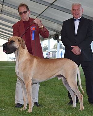 Mr J & Mrs L Donnelly & Mrs J Toohey Primus Breakin Rules with Mr R Kinsey (Committee)