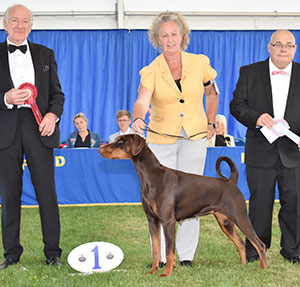 Mrs K Brannan, Mrs S Graham & Mrs S Mycoft Supeta's Whole Lotta Rosie with Sharhyste with puppy group judge Mr R Newhouse & Mr C Woodward (Committee) 