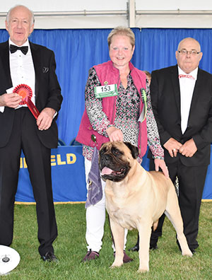 Mr S M & Mrs M L Spencer Shadowguard High Octane At Islekeeper with veteran group judge Mr R Newhouse & Mr C Woodward (Committee)