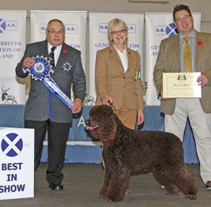 Best in Show