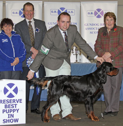 Reserve Best Puppy in Show