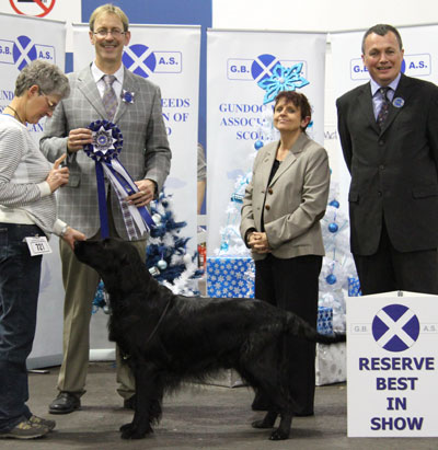 Ms P Stephenson Sh Ch Torrweaving Best Mate of Falahall with BIS judge Mr M Gadsby & Mr J Irvine (Assistant Show Manager)