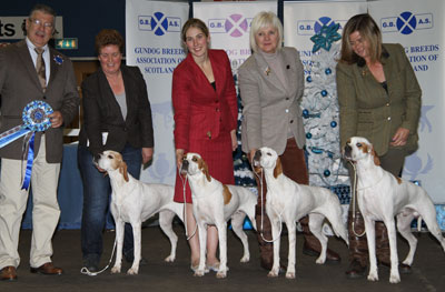 O'Neil - Pointers with Breeder judge Mr R Oliveira