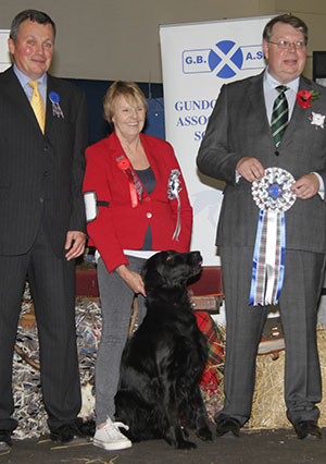 Mrs A R Kilminster Sh Ch Withybed Blue Jeans with BVIS judge Mr D Ericsson & Mr D Shields (Assistant Show Manager)