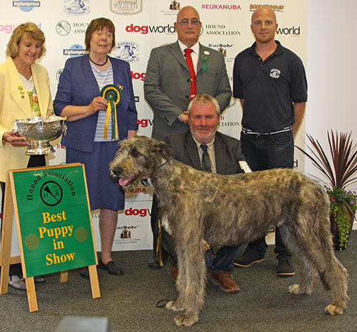 McAulay's Gartlove Galenlogan, with BIS Judge Mrs Jean Blandford & Mrs Viv Phillips