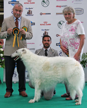 3rd Veteran: Mrs R Godden: Strelkos Skylark Over Beamer - Judge: Mr Frank Kane