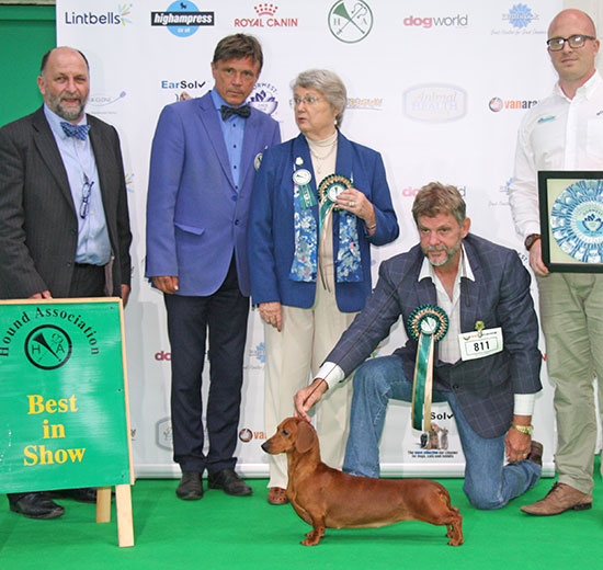 Mr C Does & Cwmdarhian Hotoff The Press (Best in Show), with BIS judge Mrs Shirley Rawlings