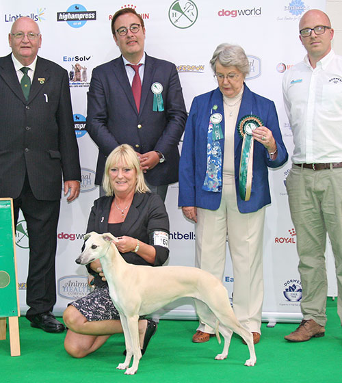 Ms Y Hull & Palmik Misty Eve (Best Puppy in Show), with BPIS judge Mrs Shirley Rawlings & Stuart Milner (Chief Steward)