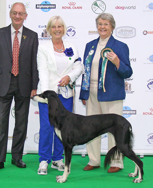 Garratt & Oakey's Ch Caryna Meilichia Sh CM (Best Veteran in Show), with BVIS judge Mrs Shirley Rawlings