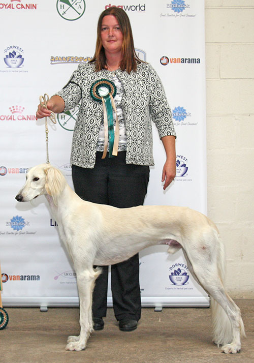 Mrs V C Martin & Canerikie Vivaldi For Stalwart (Puppy Group 3)