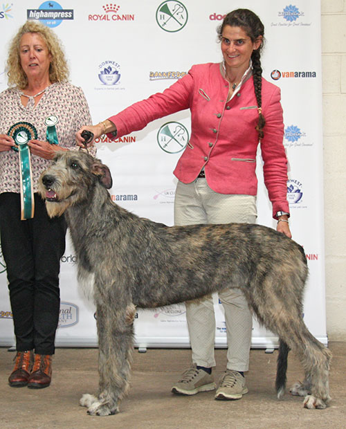 Mrs A Turini & Raindogs Ella Bassa Pavese (Puppy Group 4)