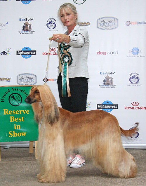 Hitch & Barley's Zhivias Sunrise Surprise Of Zendushkas (Reserve Best in Show)