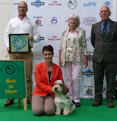 Mrs S Robertson & Mrs W Doherty Ch Soletrader Magic Mike with BIS judge Mrs M Bryce-Smith & Mr K Cadmore (Dorwest Herbs)