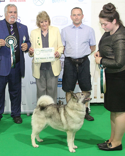 Mrs J E Cowper Ch Rothenborg Leaha with BVIS judge Mr K Sinclair & Mrs V Phillips (Advertising Officer)