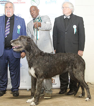 Mr & Mrs C Amoo Sade Rainbow with group judge Mr K Sinclair