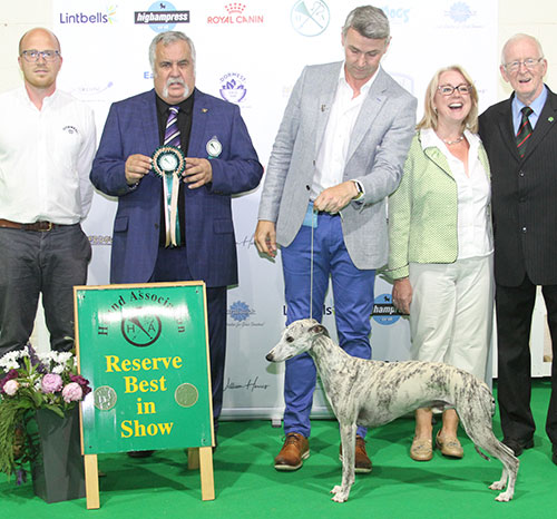 Mr R Wheeler Ch Mythic Balder Des Plaines Des Bruyeres Avec Ran with group judge Mr K Sinclair, Mrs R Barney (Committee) & Mr K Cadmore (Dorwest)