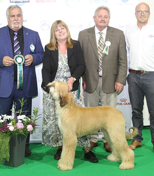 Miss J Noble & Ms T Gardner Aqua's The Bitchisback (Imp USA) with BPIS judge Mr K Sinclair & Mr K Cadmore (Dorwest Herbs)