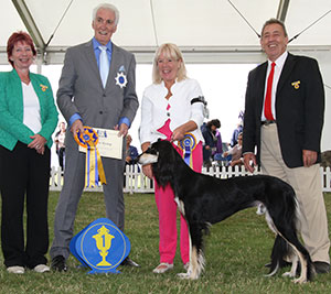 Mrs J & Mr A Glaister & Mrs M Parker Ch Classicus Cassander JW Sh.CM with group judge Mr S Mallard, Mrs S Virgo (Chief Steward) & Mr M Virgo 