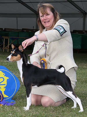 Mesdames D Hardy, P Hallam, S Kite & Gillespie Ch Am/Can Ch Klassic's Girl With A Curl (Imp)