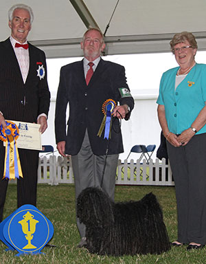 Mr J & Mrs M Whitton Ch Int Ch Lux Ch Zaydah Don't Stop Me Now At Vaucl with group judge Mr S Mallard & Mrs M Hughes (Treasurer) 