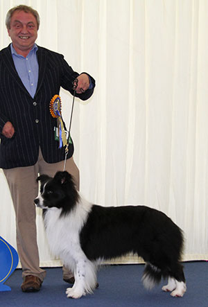 Mr R K & Mrs V F Green Sh Ch Fayken I Am Legend JW