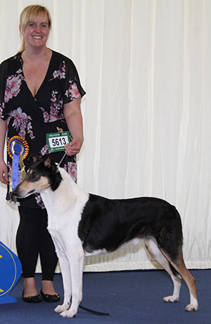 Miss L D Williams Ch Mcclelland Hotter Than Hell