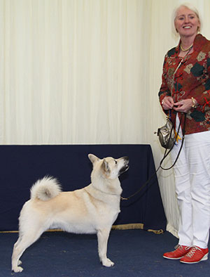 Mr & Mrs A & S Dobson, Mrs S Cale & Mrs Evans Ch Arnscroft Di To Be A Sailor Ir J Ch 